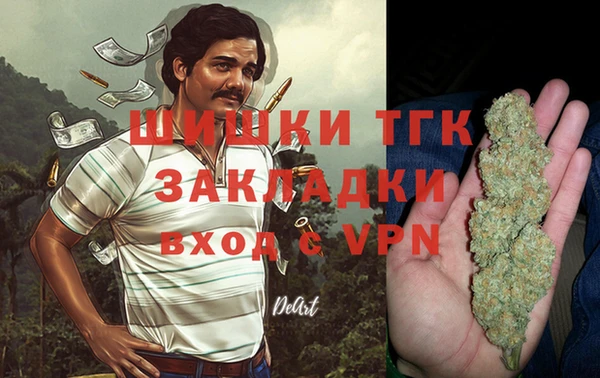 стаф Балахна
