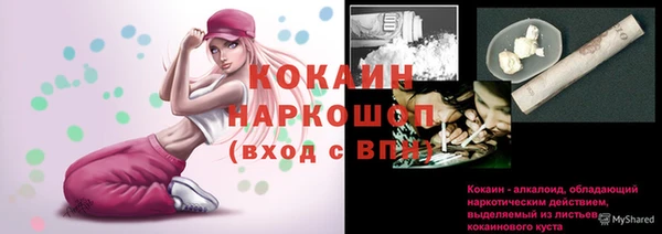 стаф Балахна