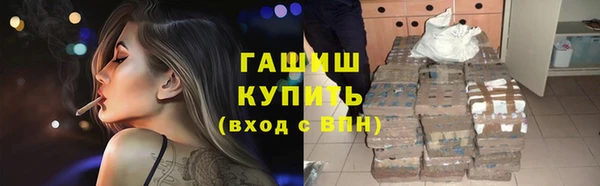 индика Баксан