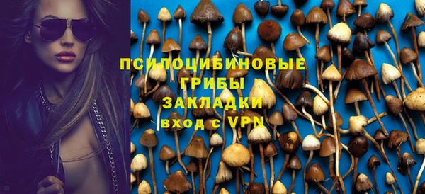 индика Баксан
