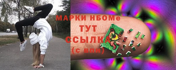 индика Баксан
