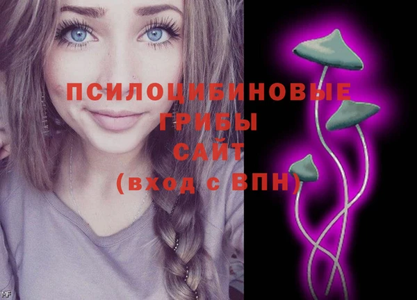 гашик Балабаново