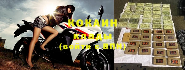 индика Баксан