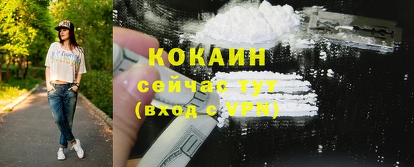 индика Баксан