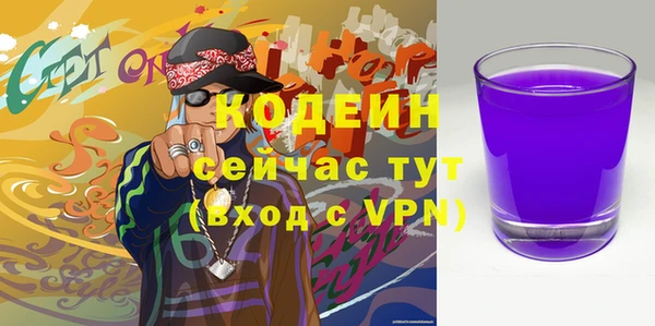 индика Баксан