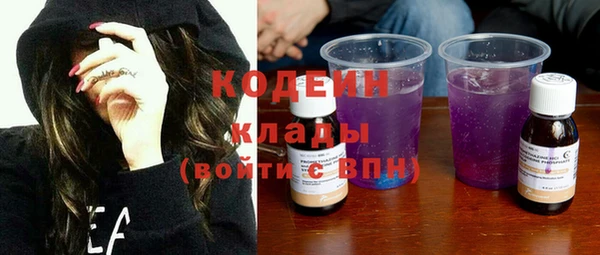 индика Баксан